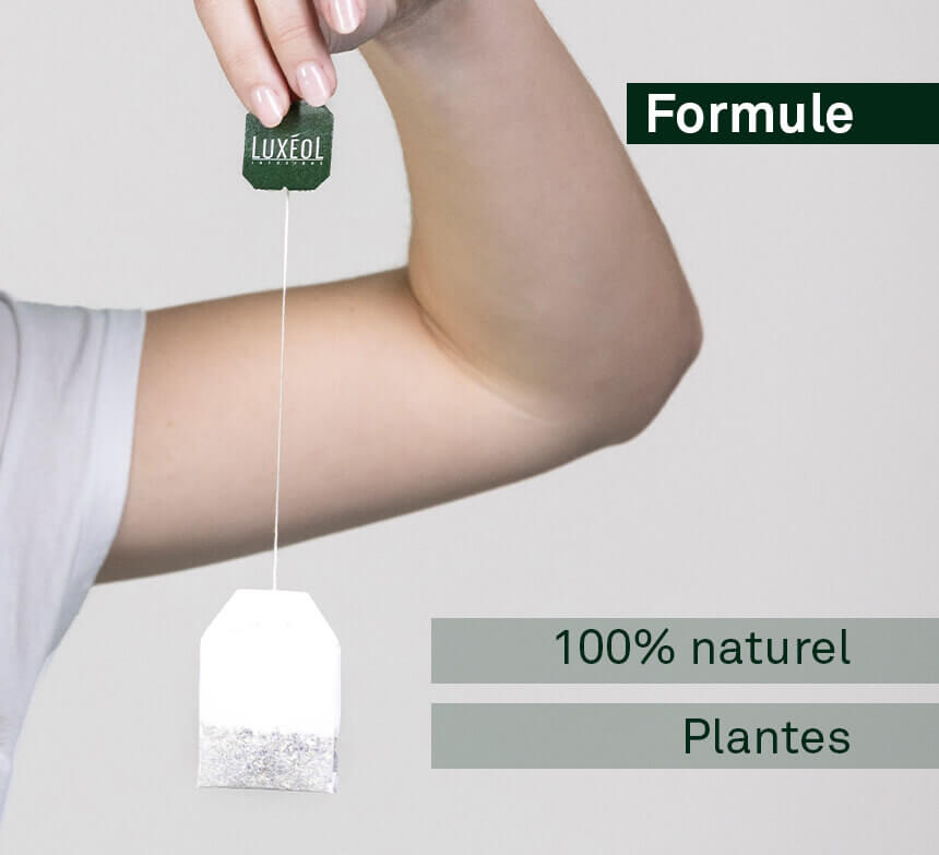 perfuzie